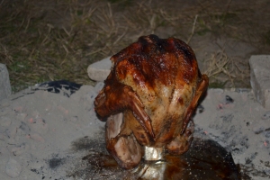 trashcan turkey, pheasant phantazmagoria 034